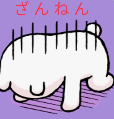 1738991577571.jpg