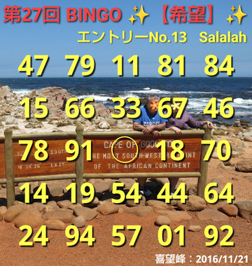 BINGO27カードNo.13.png