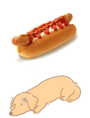 温かい犬🌭.jpg