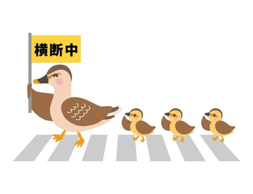 crossing_parent-and-child-of-duck_18202.jpg