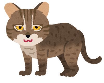 animal_iriomote_yamaneko.jpg