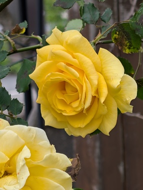 PXL_20250501_233721131.jpg