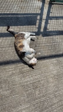 250503_120205_exported_41388.jpg