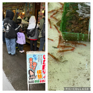IMG_4055.jpeg