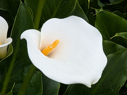 PXL_20250505_213502885.jpg