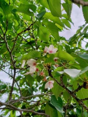 250506152425064.JPG