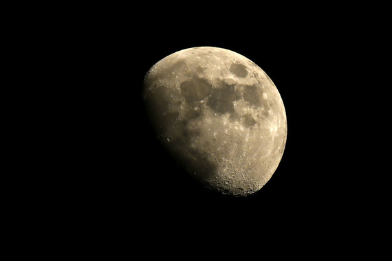 DSC_2698.jpg