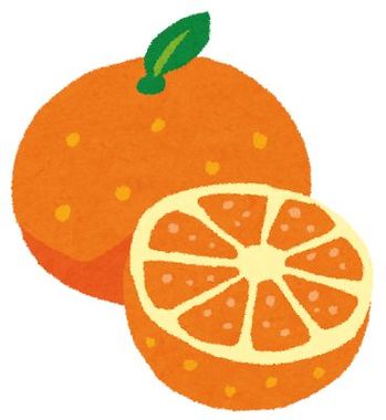 fruit_orange2.jpg