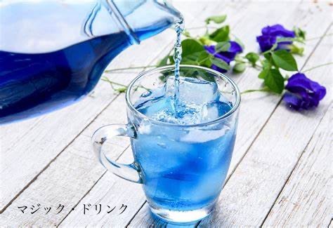IMG_4158.jpeg