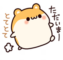 56468009_220x207.png