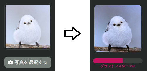 sample_shimaenaga.png