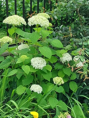 20250614_113716.jpg