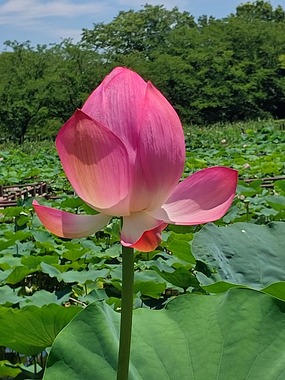 20250628_112550.jpg