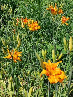 20250629_101840.jpg