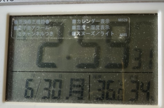 IMG_3199.jpeg