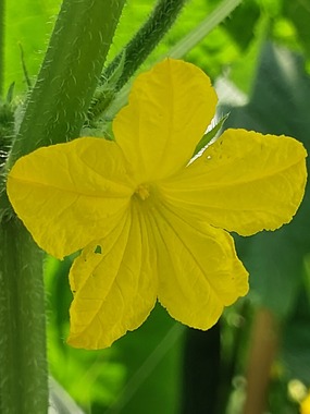 20250703_105300.jpg