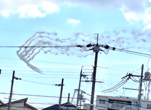 IMG_3229.jpeg
