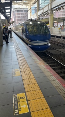 IMG_3653.jpeg