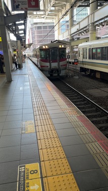 IMG_3655.jpeg
