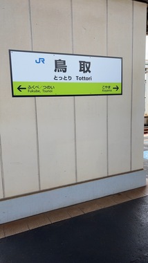 IMG_3675.jpeg