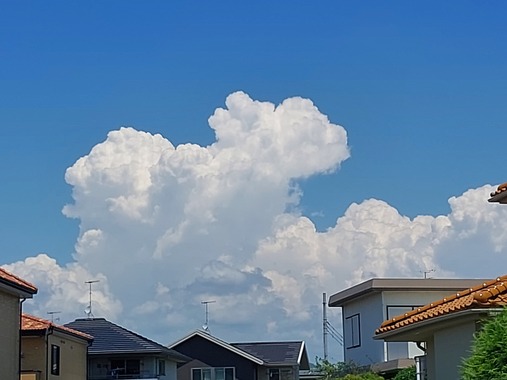 20250721_113254.jpg