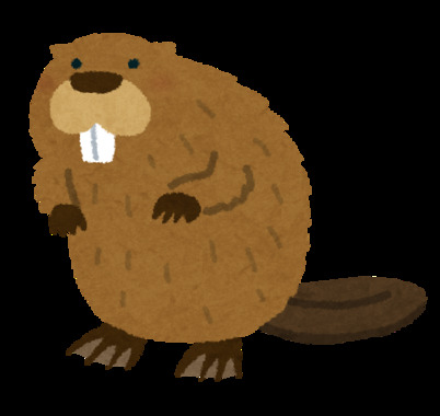 animal_beaver.png