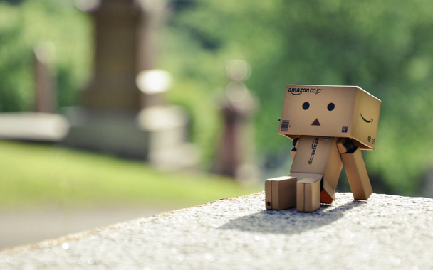 danbo-5.jpg