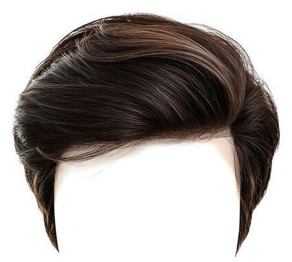 カツラ（1）.jpg