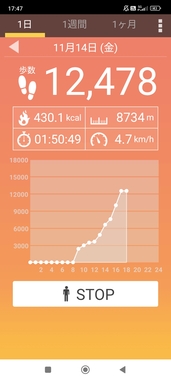 Screenshot_2025-11-14-17-47-25-966_com.tayu.tau.pedometer.jpg