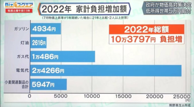 家計の負担　10万円増.png