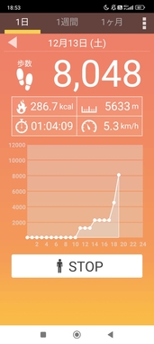 Screenshot_2025-12-13-18-53-40-320_com.tayu.tau.pedometer.jpg
