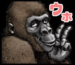caaefb78644806420f437a532c42f845.jpg