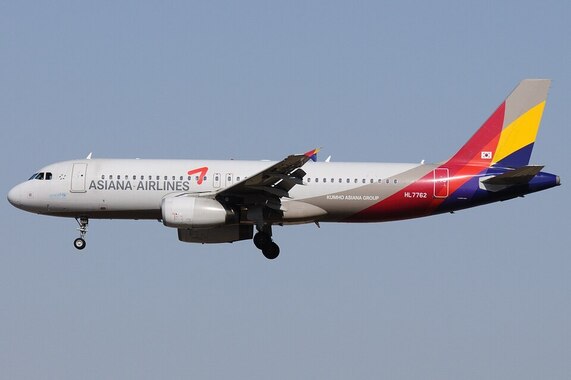 Airbus_A320-232__Asiana_Airlines_AN1912836.jpg