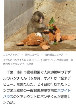 Screenshot_20260226-160356_2.png