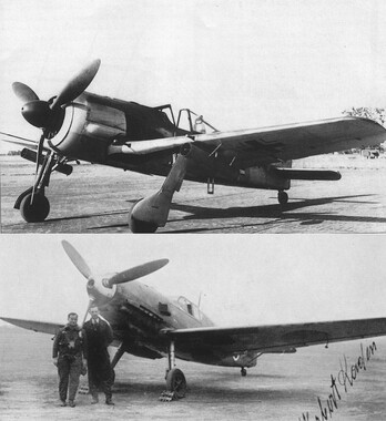 20060826-Fw190_Bf109E.jpg