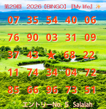 BINGO29ードNo.05.png