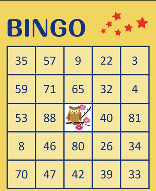 20260310_Bingo.jpg