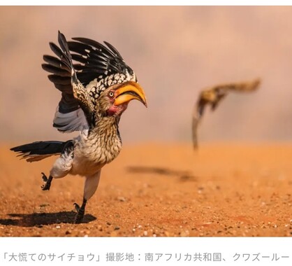 Screenshot_20260310-103359_2.png