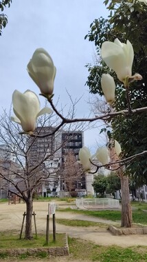 260320_121901_exported_19010.jpg