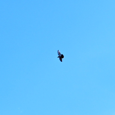 DSC_0672.jpg