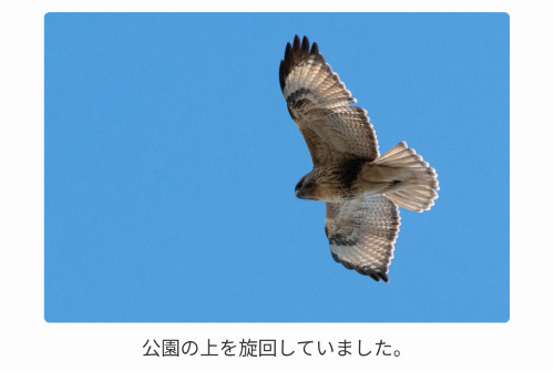 Screenshot_20260324-184506.png