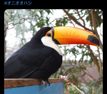 Screenshot_20260324-091507_2.png