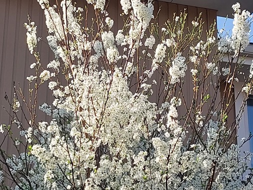 20260324_080100.jpg