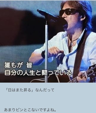 IMG_4818.jpeg
