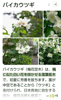 Screenshot_20260330-132949_2.png