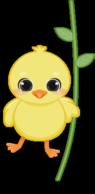 IMG_7665.png