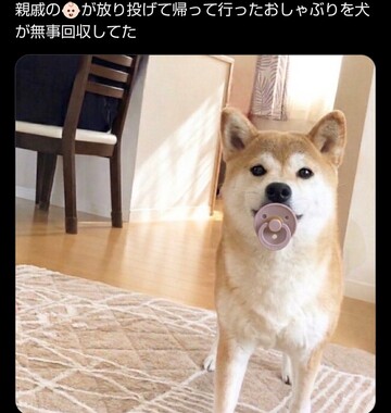 Screenshot_20260401-093159_2.png
