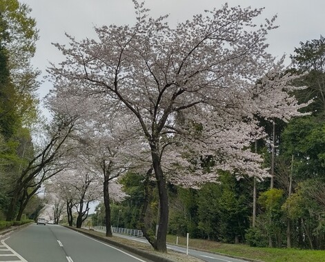 Screenshot_20260403-201050_2.png