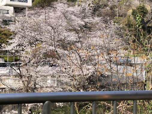 IMG_2095.jpeg