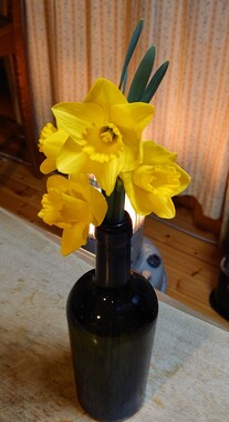 20260401_171601.JPG